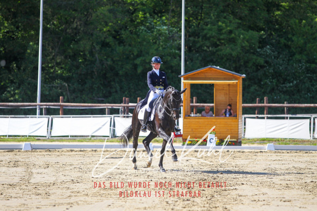DKP42613 | Turniersportfotografie; Pferdefotografie; Dressurfotografie