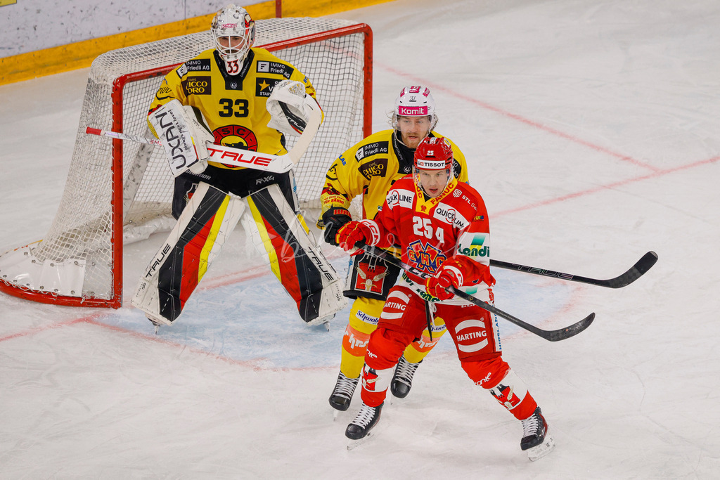 EHCB vs SCB 20260110_wb-3028 | Sportbilder, Sportfotograf, Hochzeits- und Eventfotografin, Flugshows, Portraits und Tiershooting, Aviation, Downhill, Nationalleague, Swissleague, International