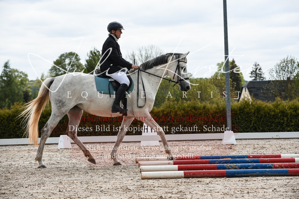 20230518_JK-Röhrsdorf-10-258 | Pferde- und Turnierfotografie in Westsachsen. Pferdeportraits, Auftragszeichnungen und intuitive Kunst.