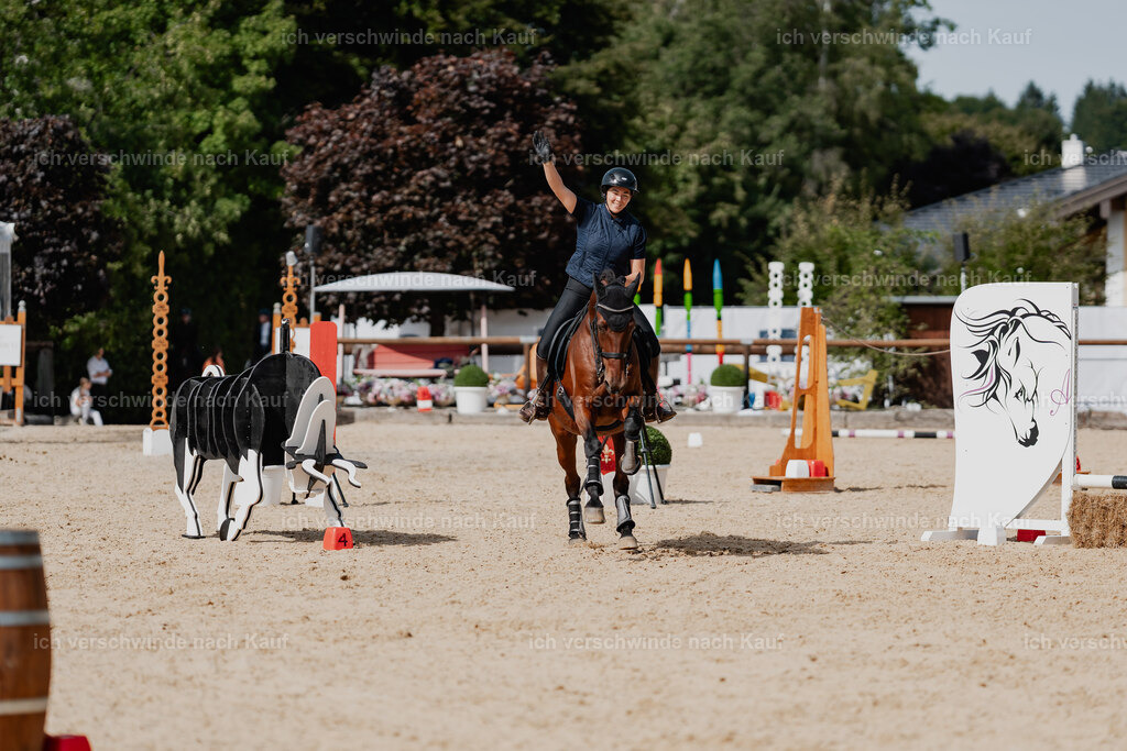 Nadine22_FHC2025-142 | working equitationturnier fotograf videograf stoibphotography marixx film working equitation deutschland reitsport turnierfotografie eventfotografie equestrian events