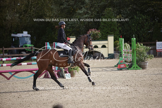 1J2A7894Sophie Kessel_ Unglaubliche_ Kn947_ Havekost | Foto- und Videografie für alles rund ums Pferd. Hochwertige Bilder und Videos vom Spring- und Dressurreiten, Voltigieren & mehr. Jetzt aktuelle Veranstaltungen und Preise im Shop ansehen. - Realisiert mit Pictrs.com