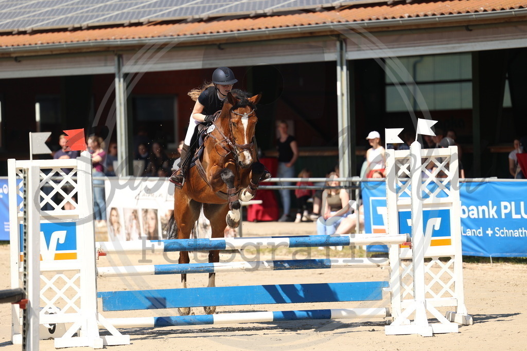 994A5751 | sabrinanicolaifotografie - Realisiert mit Pictrs.com