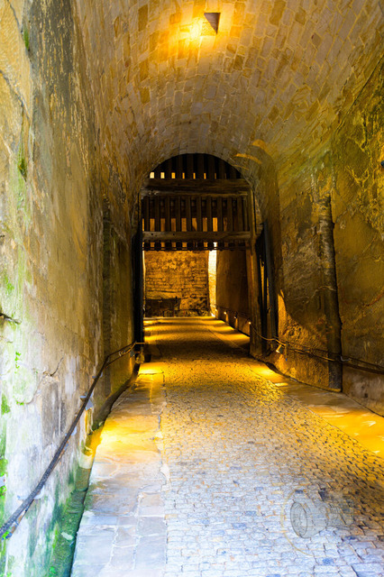 _DSC0872 | Shop für Prints Landschaftsfotografie Sächsische Schweiz Naturfotografie in Thüringen Fotos vom Findlingspark Nochten Kloster Sankt Marienstern Bilder Festung Königstein PanoramaRhododendronpark Kromlau FotogalerSchleswig-Holstein Küstenlandschaften