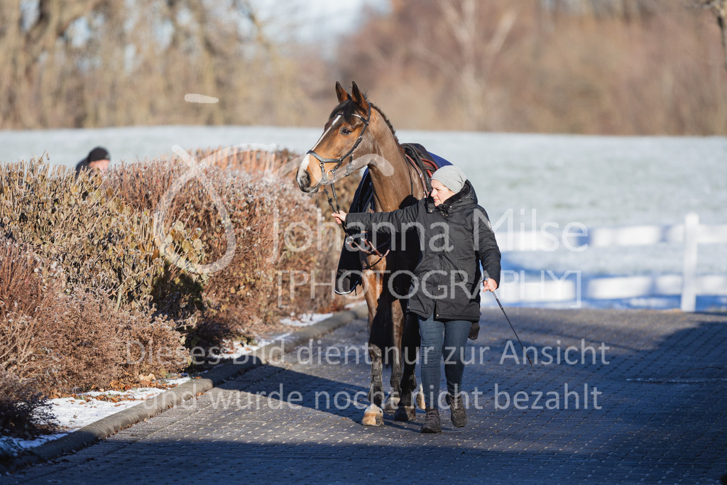 221216_Warstein_Impressionen-120 | Deine schönsten Turniermomente als professionelle Fotos! Entdecke hochwertige Pferdesport-Fotografie im Online-Shop. Jetzt Fotos finden & bestellen!