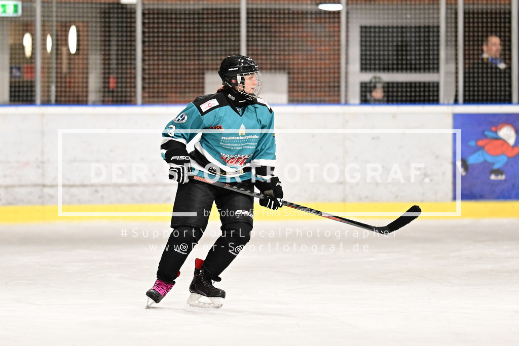 Eishockey I Frauen I Saison 2023-2024 I Testspiel I TuS Harsefeld Tigers - Crocodiles Hamburg I 05132 | Der Sportfotograf. - Realisiert mit Pictrs.com