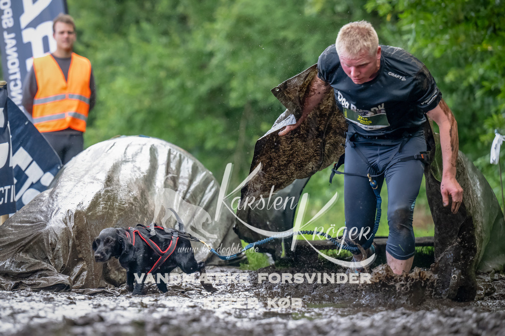 1156_ZZ90345-Bearbeitet | kk-dogfotos