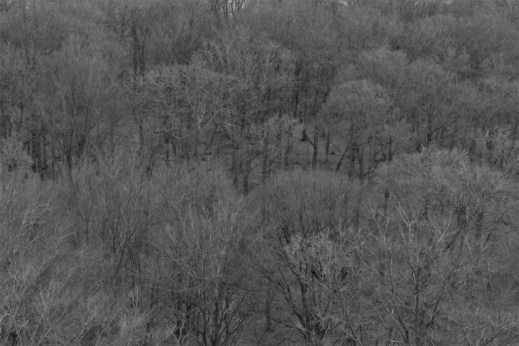 P1690543_c | Annaeherungen - Realisiert mit Pictrs.com