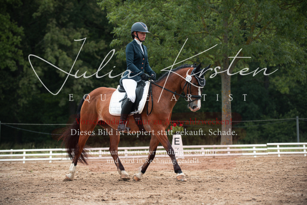 DSC_9821 | Pferde- und Turnierfotografie in Westsachsen. Pferdeportraits, Auftragszeichnungen und intuitive Kunst.
