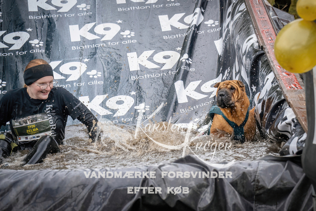 1220_ZZ94911 | kk-dogfotos
