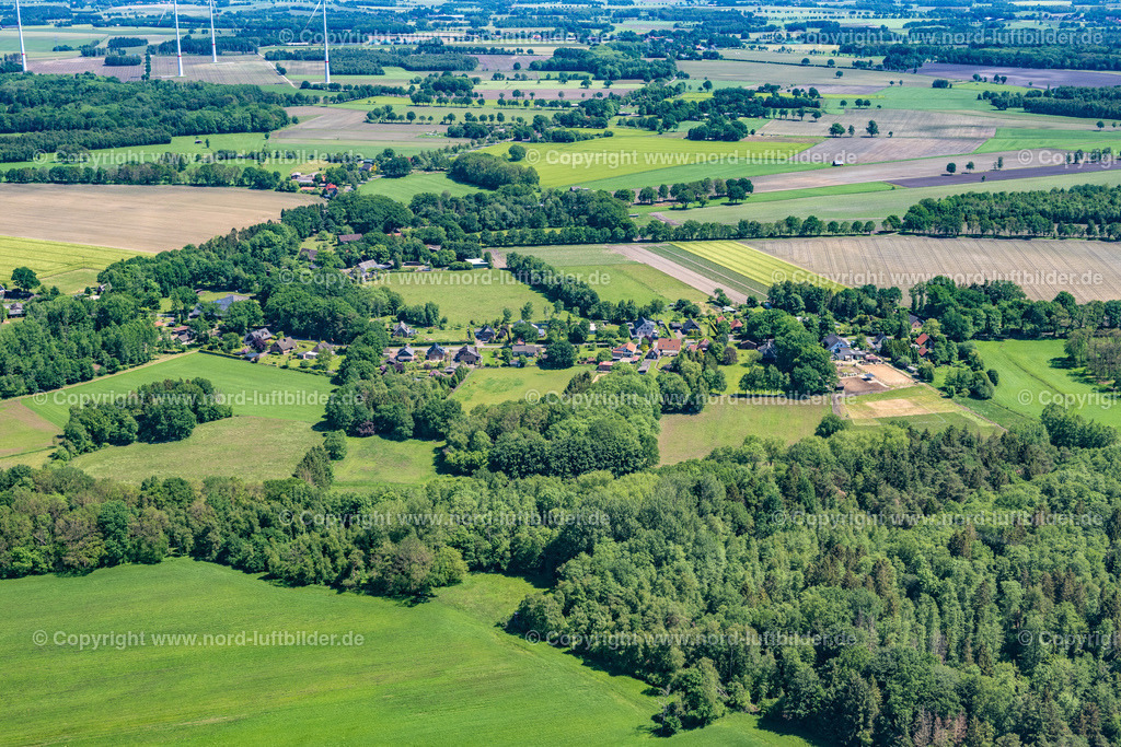 Reith_ELS_6972030622 | REITH 03.06.2022 Baumreihe an einem Feldrand in Reith im Bundesland Niedersachsen, Deutschland. // Row of trees in a field edge in Reith in the state Lower Saxony, Germany. Foto: Martin Elsen