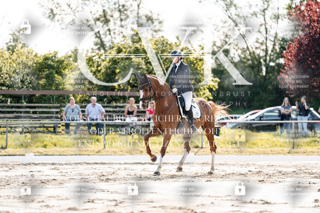 CK909342 | Turnierfotografie Pferdefotografie Trier Rheinland-Pfalz Pferdesport Reitsport Tierfotografie Sportfotografie Pferdevideo Pferdevideografie Equestrianvideography equestrianphotography  - Realisiert mit Pictrs.com