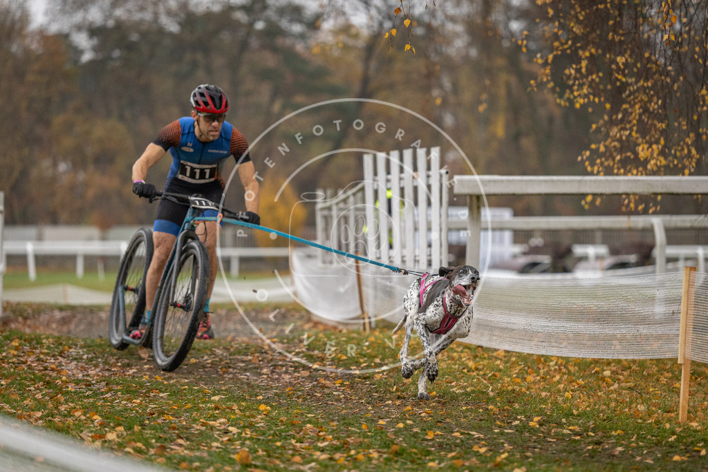 CaniXpix_DV3A7519 | Hundefotografie, Tierfotograf, Pfotenfotografie, Fotoshooting Hund, Hunde Portrait, Hundesport, Hundeportraits, Heideshooting, Hunde, Sportfotograf, Hundefotograf, Turnierhundsport, THS,  - Realisiert mit Pictrs.com