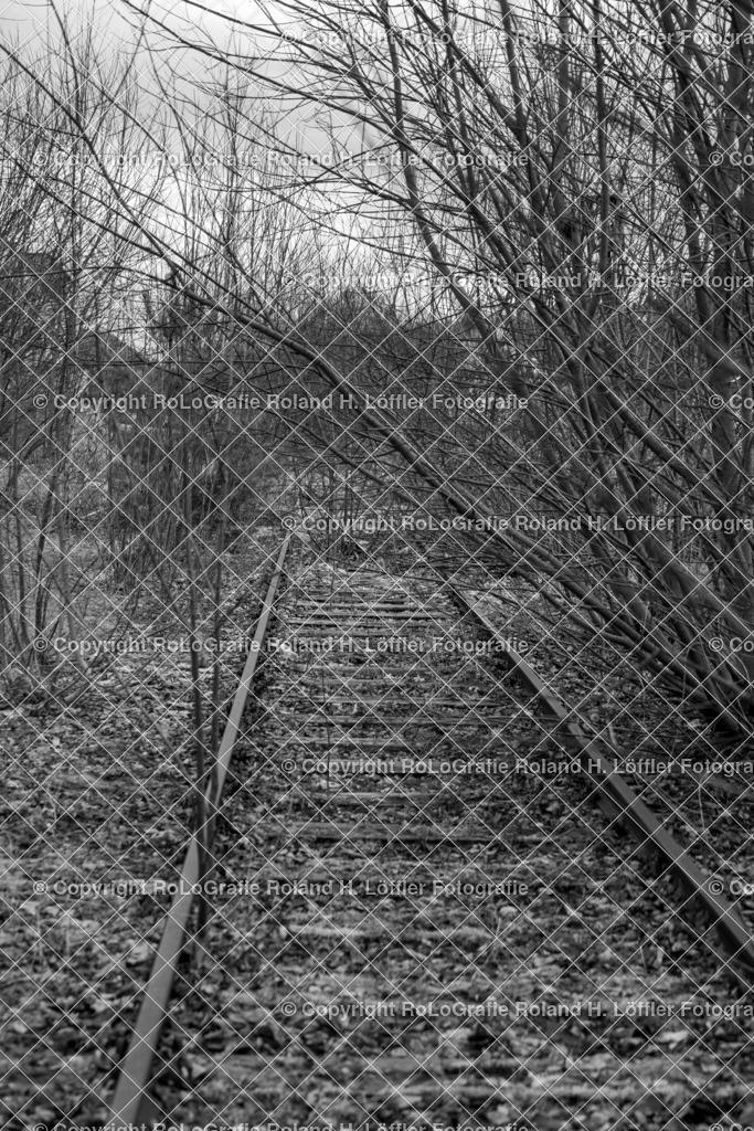 Eisenbahnnostalgie_07 | Unbenutztes, zugewachsenes Gleis am Bahnhof - Realisiert mit Pictrs.com