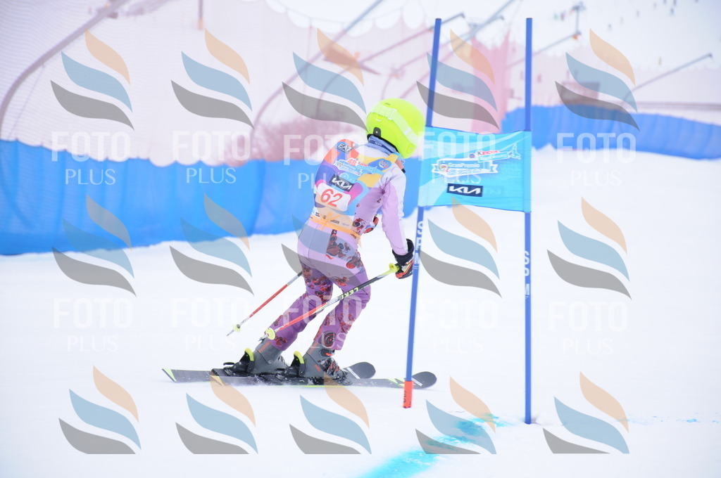 DSC_8014 | holidayphoto