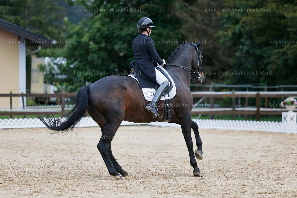 8_2-193-DRESSUR S_  -StoibPH-4515 | working equitationturnier fotograf videograf stoibphotography marixx film working equitation deutschland reitsport turnierfotografie eventfotografie equestrian events