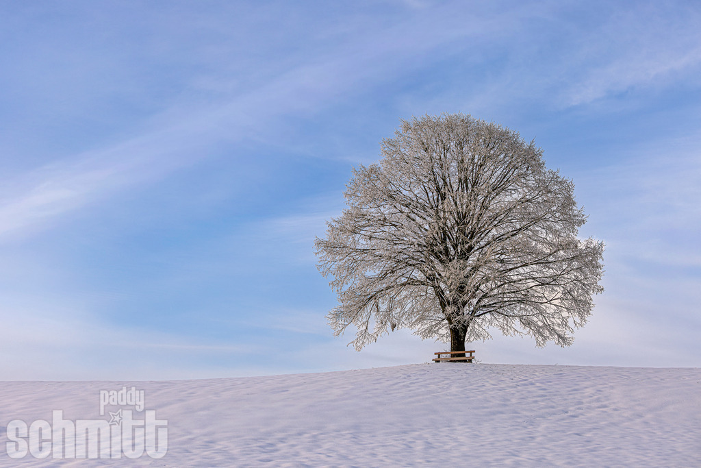 PS-Winter-2026-92 | Entdecke die größte Bildgalerie der Region mit Fotografien aus dem Allgäu, der Bodenseeregion, Oberschwaben, dem Donautal und der Schwäbischen Alb. Landschaften, Luftaufnahmen und Reisefotografie als Wandbild und Fotokunst. - Realisiert mit Pictrs.com
