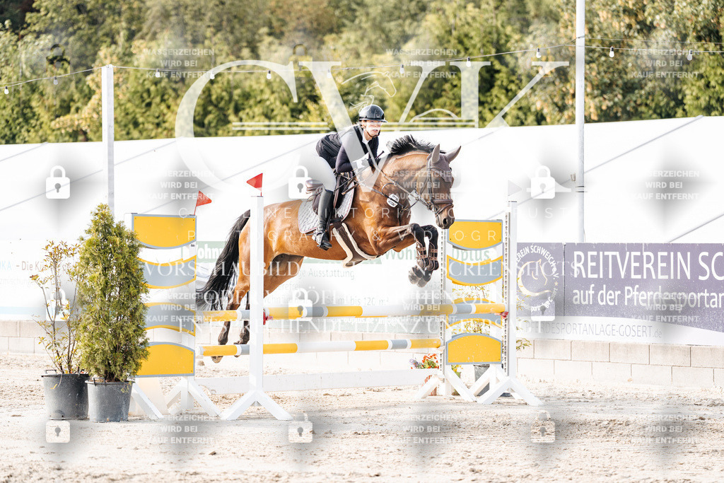 CK906752 | Turnierfotografie Pferdefotografie Trier Rheinland-Pfalz Pferdesport Reitsport Tierfotografie Sportfotografie Pferdevideo Pferdevideografie Equestrianvideography equestrianphotography  - Realisiert mit Pictrs.com