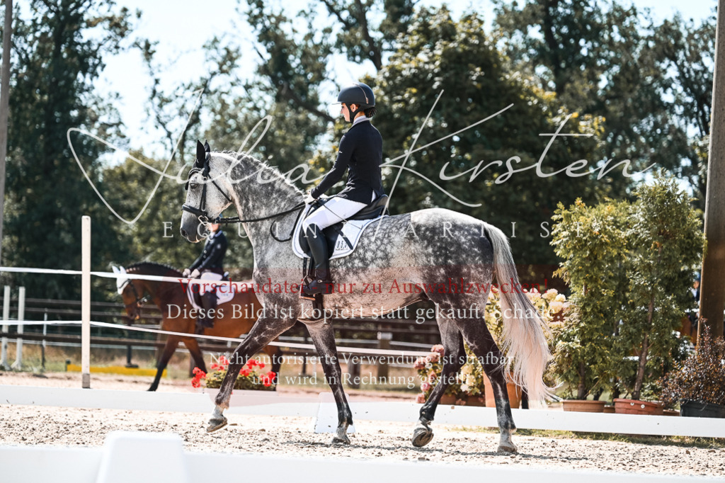 DSC_5567 | Pferde- und Turnierfotografie in Westsachsen. Pferdeportraits, Auftragszeichnungen und intuitive Kunst.