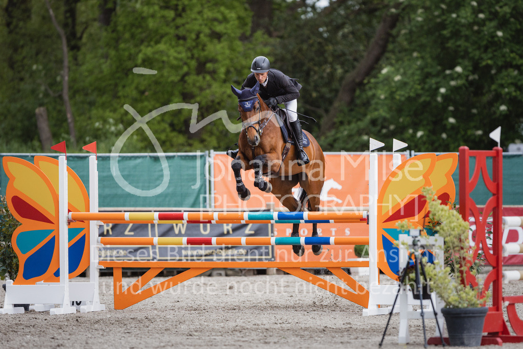 230516_Mühlen_05SprPf-L-582 | Deine schönsten Turniermomente als professionelle Fotos! Entdecke hochwertige Pferdesport-Fotografie im Online-Shop. Jetzt Fotos finden & bestellen!