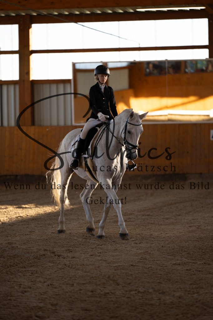 A7V01562 | Turnier/Reitfotograf