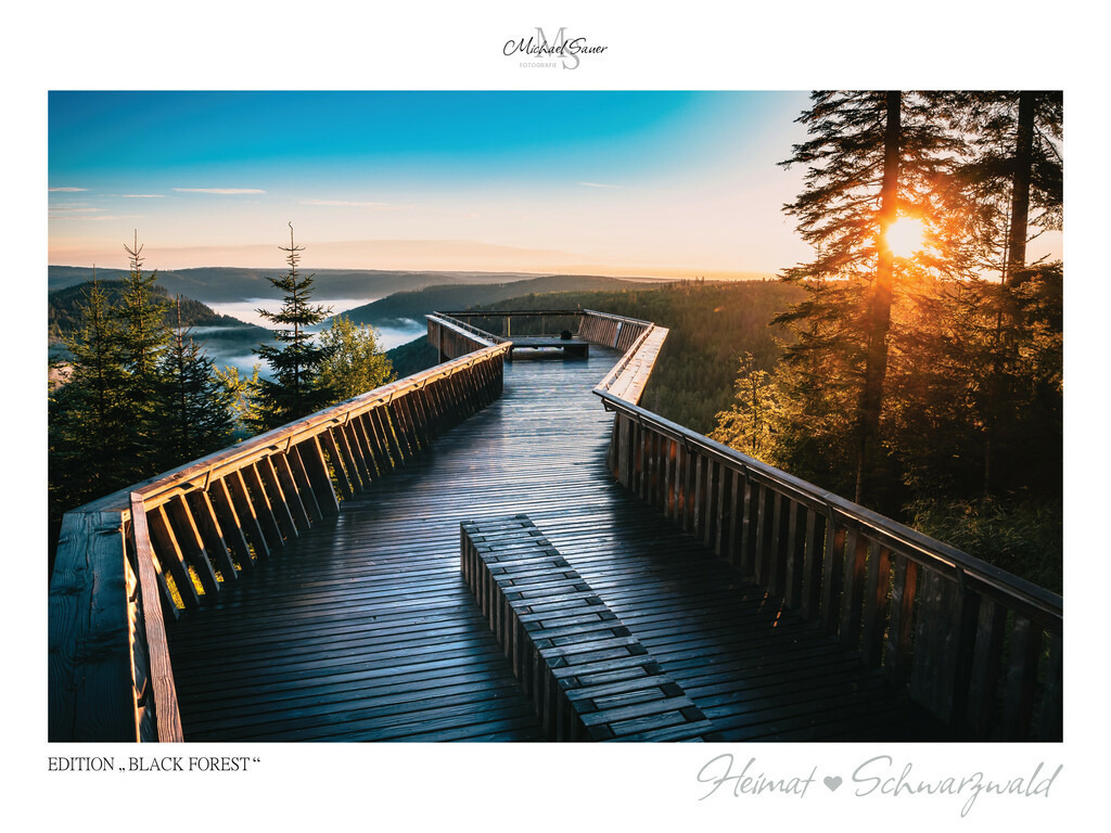 Edition "BLACK FOREST" | Motiv: Aussichtsplattform am Ellbachsee bei Baiersbronn, Nordschwarzwald. Die beliebtesten Fotografien aus dem Schwarzwald als signierte Sonderedition. Eine exklusive Wanddekoration für alle Liebhaber von traumhaften Schwarzwaldlandschaften. Hochwertige Wandbilder in brillanter Druckqualität auf Acrylglas, Alu-Dibond und Leinwand für Ihr Zuhause – inklusive rückseitige Aufhängung.
 - Realisiert mit Pictrs.com