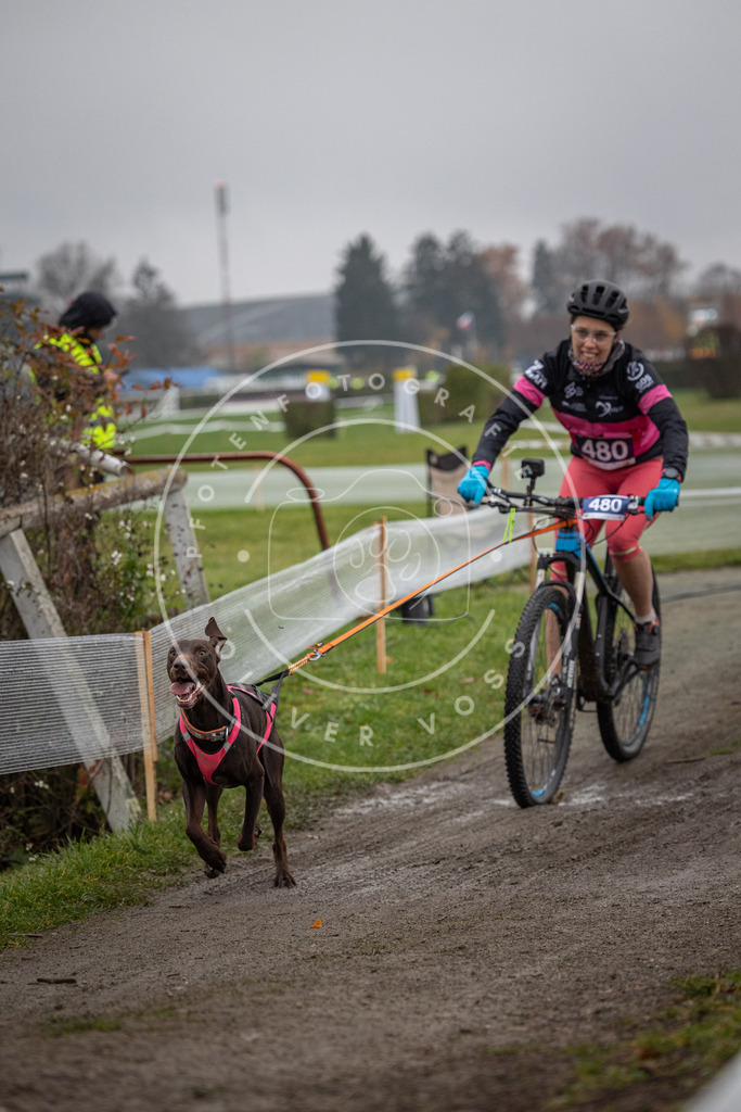 CaniXpix_0L8A1749 | Hundefotografie, Tierfotograf, Pfotenfotografie, Fotoshooting Hund, Hunde Portrait, Hundesport, Hundeportraits, Heideshooting, Hunde, Sportfotograf, Hundefotograf, Turnierhundsport, THS,  - Realisiert mit Pictrs.com