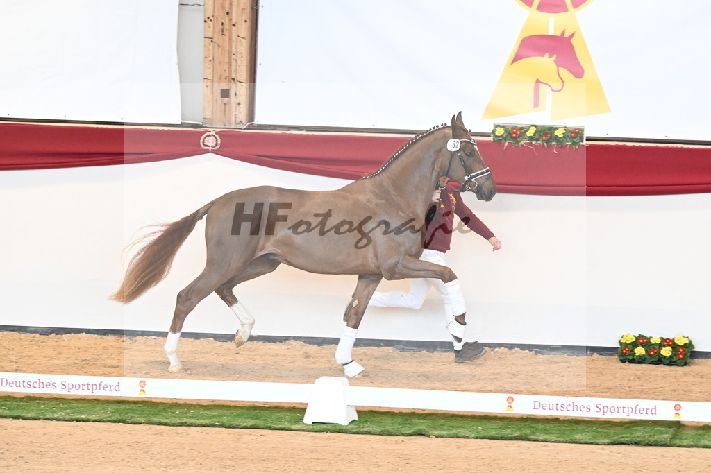 Kat.-Nr. 62 v. Shu Fu_Fischer_2240923 | hf-fotografie - Realisiert mit Pictrs.com