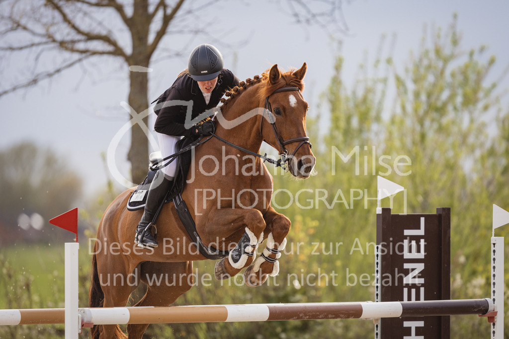 230426_HofSosath_Stil-M-612 | Deine schönsten Turniermomente als professionelle Fotos! Entdecke hochwertige Pferdesport-Fotografie im Online-Shop. Jetzt Fotos finden & bestellen!