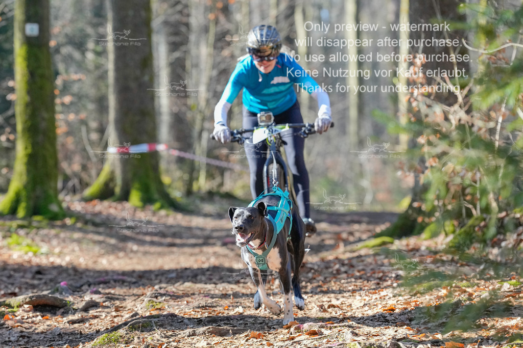 Bike_So-40 | stephaniefillaphotographie - Realisiert mit Pictrs.com