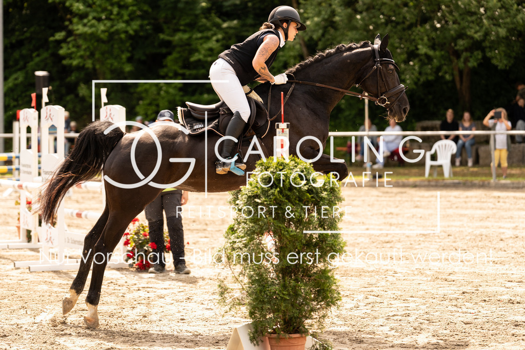 DSC02365 | Carolin Gieschke