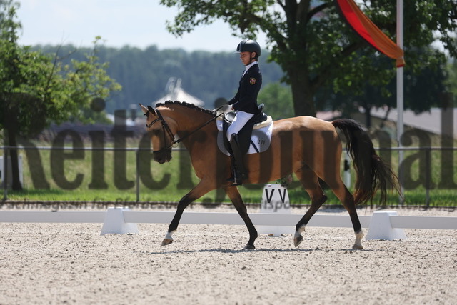 Rot am See_2024_Prfg.Nr.21_Qual.BCH_und_LCH_5-jähr.Ponys_Rosa Duong_Cocosita (3) | Alle Fotos der Reiterjournal Fotografin Doris Matthaes im Reiterjournal Online-Fotoshop. - Realisiert mit Pictrs.com