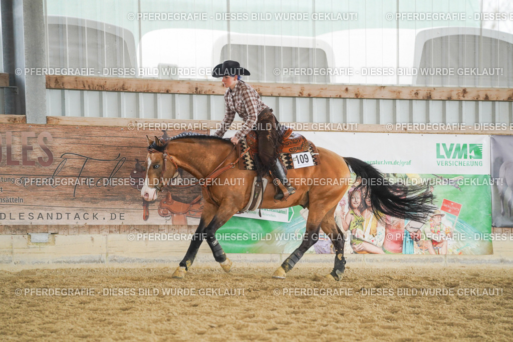 DSC05626 | Pferdegrafie