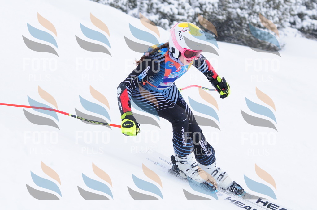 C3811 | holidayphoto