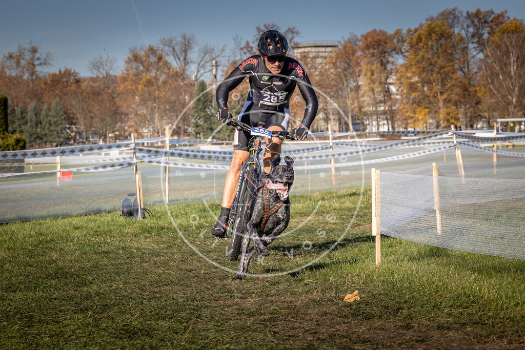 CaniXpix_0L8A5326 | Hundefotografie, Tierfotograf, Pfotenfotografie, Fotoshooting Hund, Hunde Portrait, Hundesport, Hundeportraits, Heideshooting, Hunde, Sportfotograf, Hundefotograf, Turnierhundsport, THS,  - Realisiert mit Pictrs.com