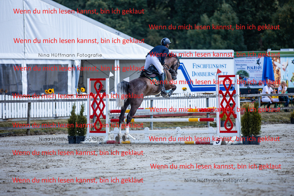 BK1A5095 | Turnierbilder Turnierfotos Nina Hüffmann Turnierfotografie Pferdefotografie Tierzeichnung Haustierzeichnung Pferdezeichnung Hundezeichnung Videograf  - Realisiert mit Pictrs.com