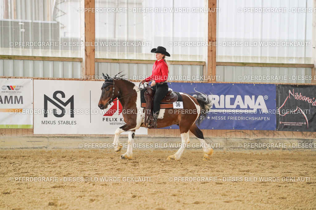 DSC04205 | Pferdegrafie