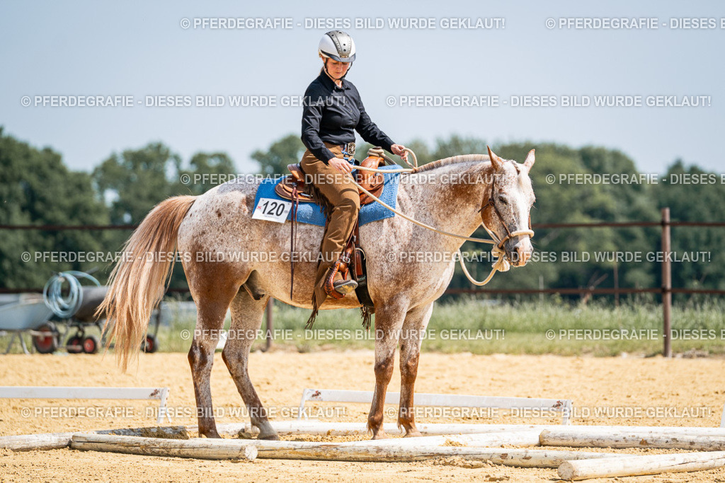 DSC00536 | Pferdegrafie