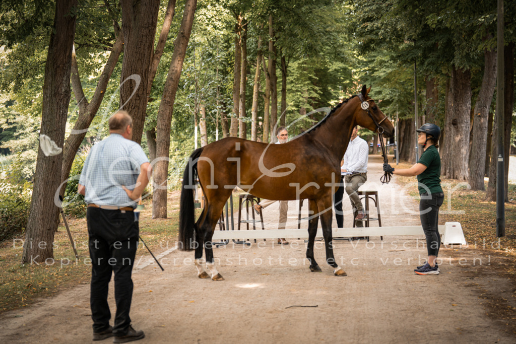 FrPfM00020 | Leoni Ertmer Photography - Realisiert mit Pictrs.com