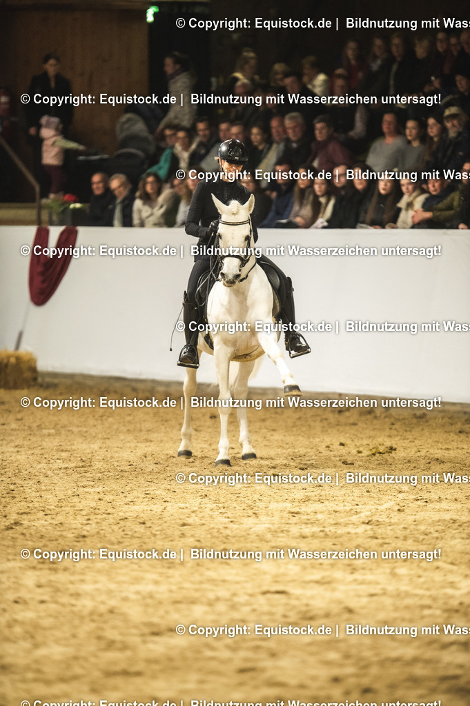 20240302_Hengstvorstellung_Marbach_TOMsPiC_1114 | equistock