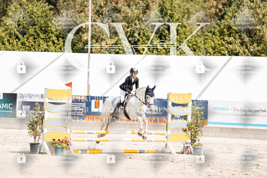 CK906448 | Turnierfotografie Pferdefotografie Trier Rheinland-Pfalz Pferdesport Reitsport Tierfotografie Sportfotografie Pferdevideo Pferdevideografie Equestrianvideography equestrianphotography  - Realisiert mit Pictrs.com