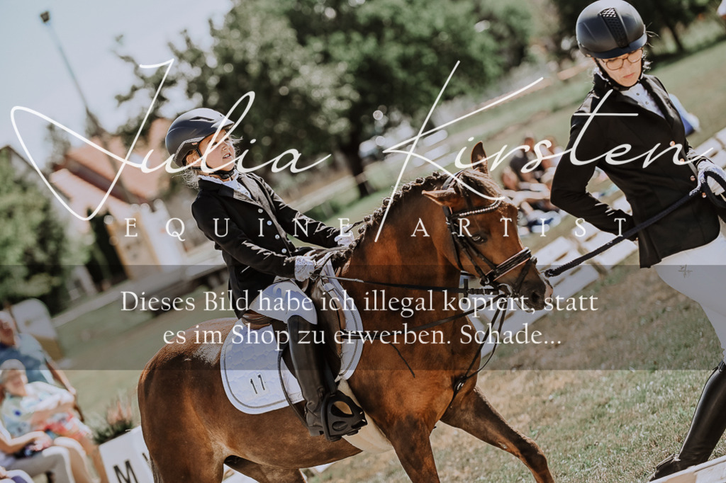 DSC_7892 | Pferde- und Turnierfotografie in Westsachsen. Pferdeportraits, Auftragszeichnungen und intuitive Kunst.