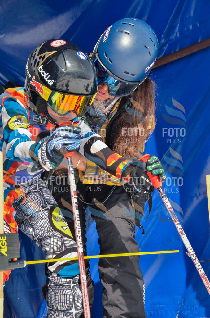 _ELE7488 | holidayphoto