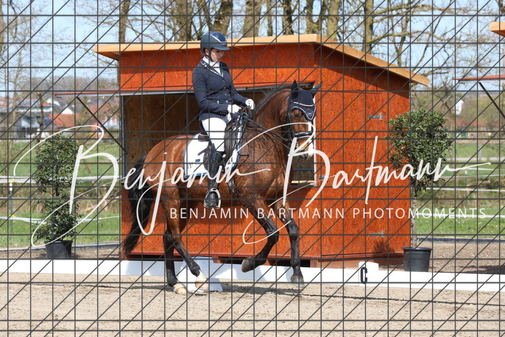 AZ2A5770 | Benjamin Bartmann Photomoments