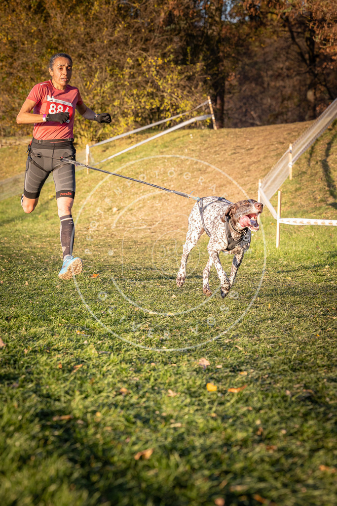 CaniXpix_0L8A1183 | Hundefotografie, Tierfotograf, Pfotenfotografie, Fotoshooting Hund, Hunde Portrait, Hundesport, Hundeportraits, Heideshooting, Hunde, Sportfotograf, Hundefotograf, Turnierhundsport, THS,  - Realisiert mit Pictrs.com
