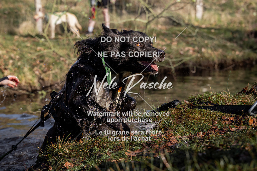 nelerasche_FS0900-1000_121 | nelerasche