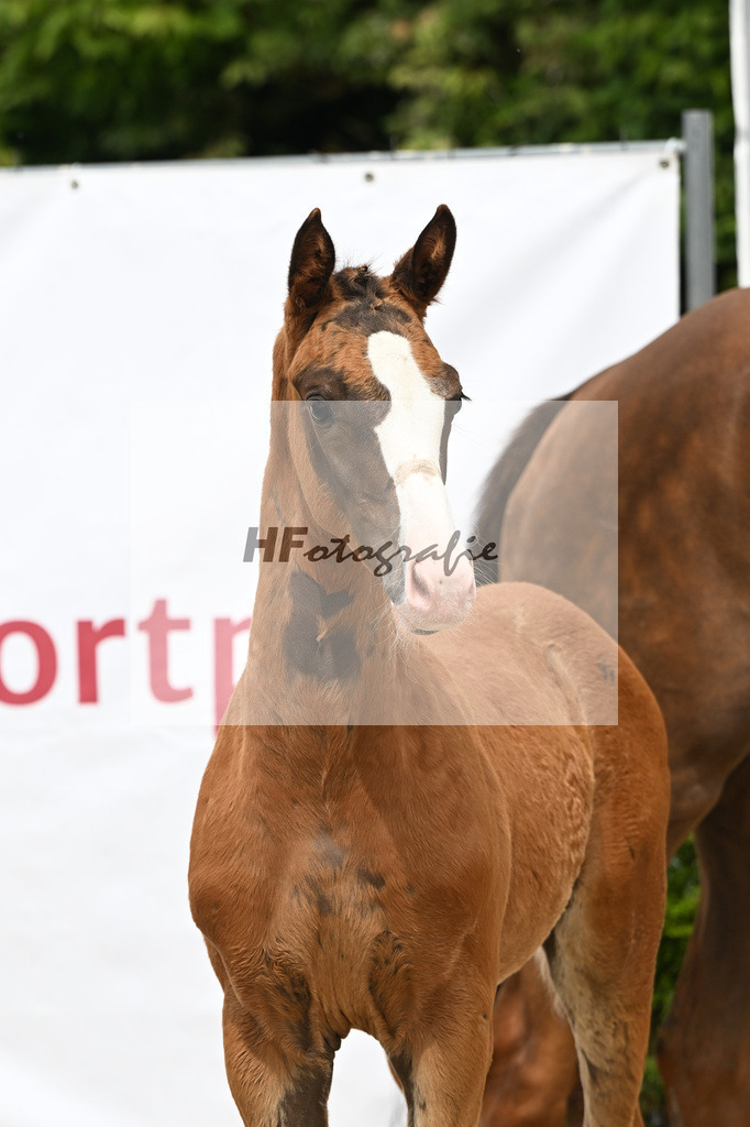 Filox x Borsalino_HF_Geiger_12250576 | hf-fotografie - Realisiert mit Pictrs.com