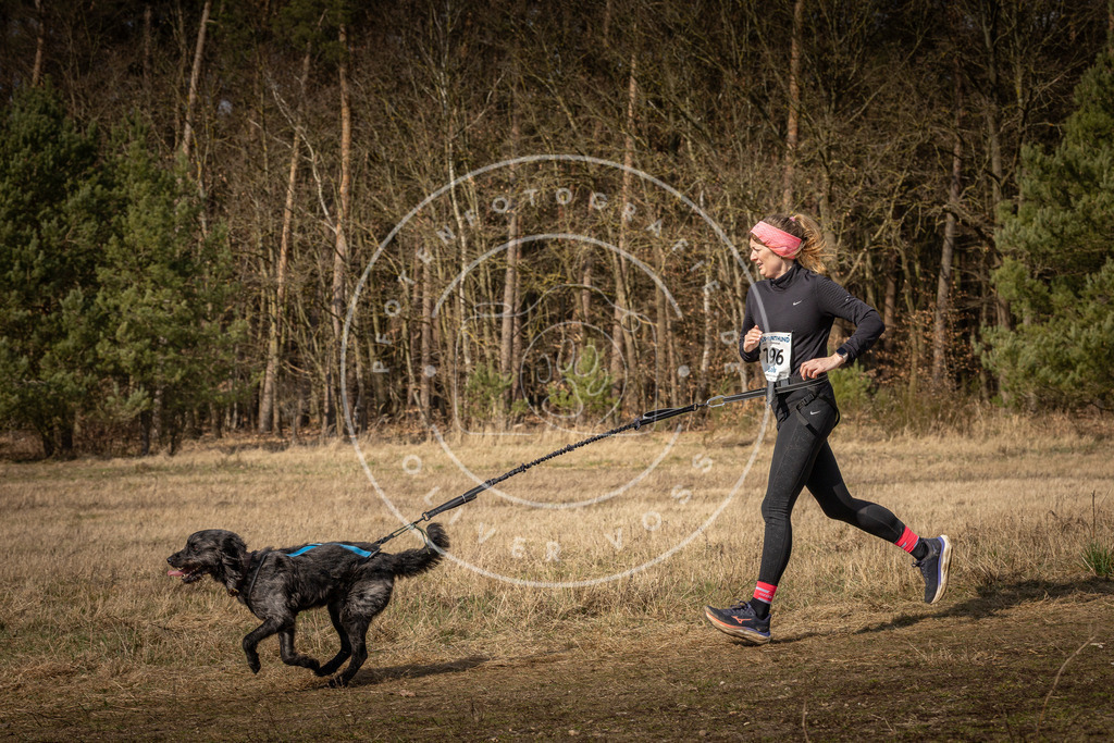 DV3A5877 | Hundefotografie, Tierfotograf, Pfotenfotografie, Fotoshooting Hund, Hunde Portrait, Hundesport, Hundeportraits, Heideshooting, Hunde, Sportfotograf, Hundefotograf, Turnierhundsport, THS,  - Realisiert mit Pictrs.com