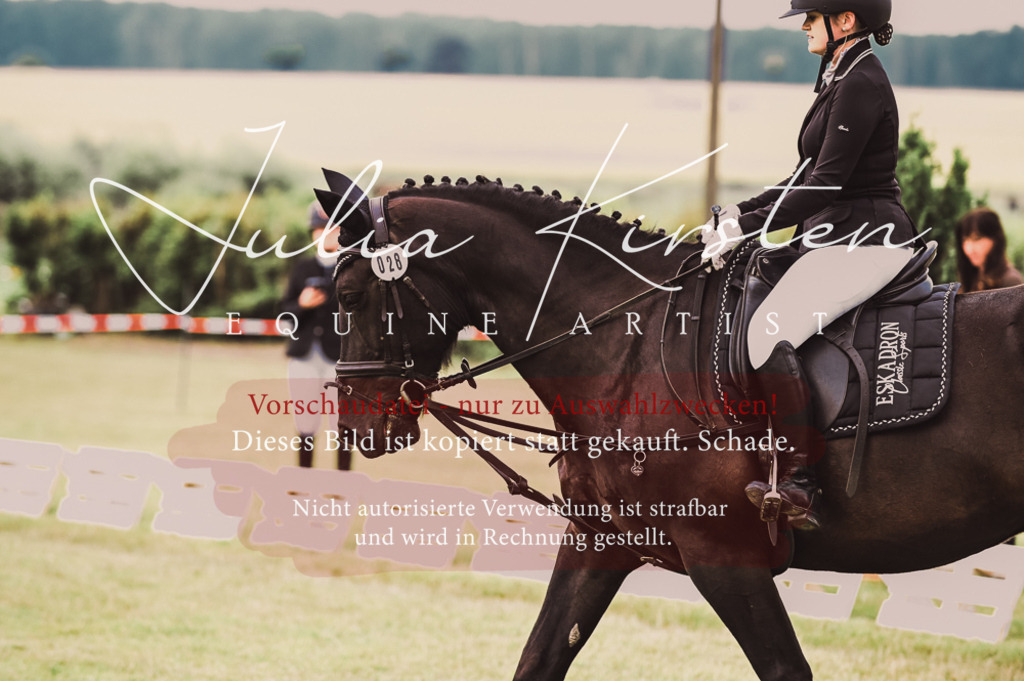 DSC_4926 | Pferde- und Turnierfotografie in Westsachsen. Pferdeportraits, Auftragszeichnungen und intuitive Kunst.