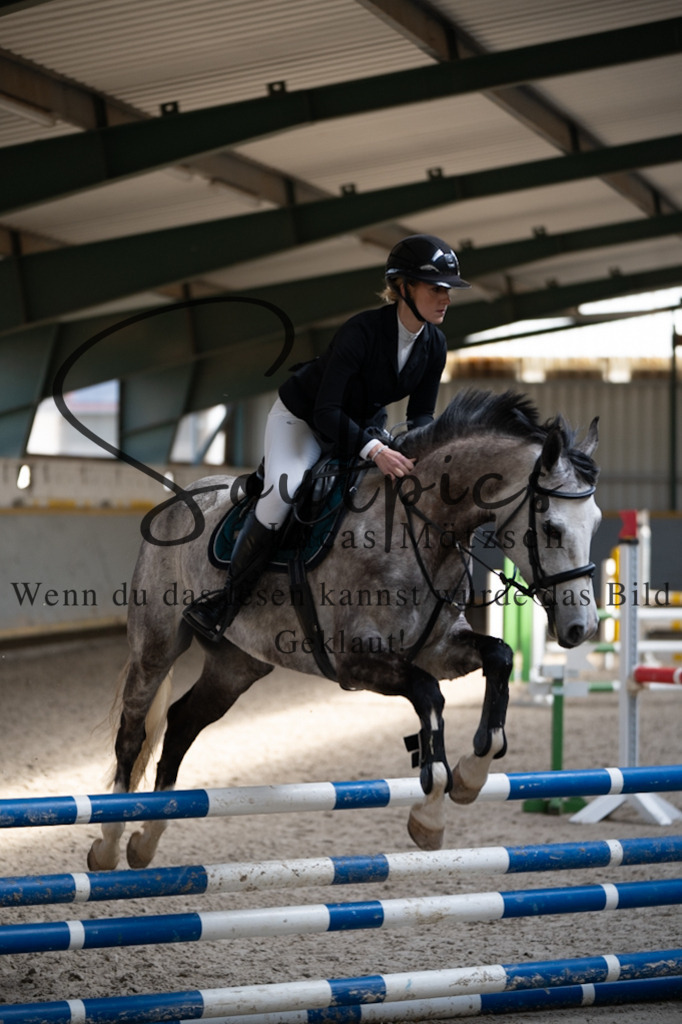 A7V06910 | Pferdefotograf