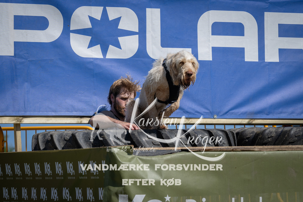 1207_ZZ94072 | kk-dogfotos